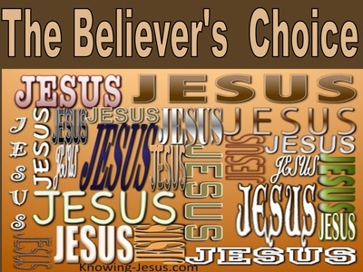 The Believer’s Choice (JOB-study 4)